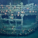 Illustration for article titled Spooky underwater photos reveal Nazi submarine off the coast of Texas